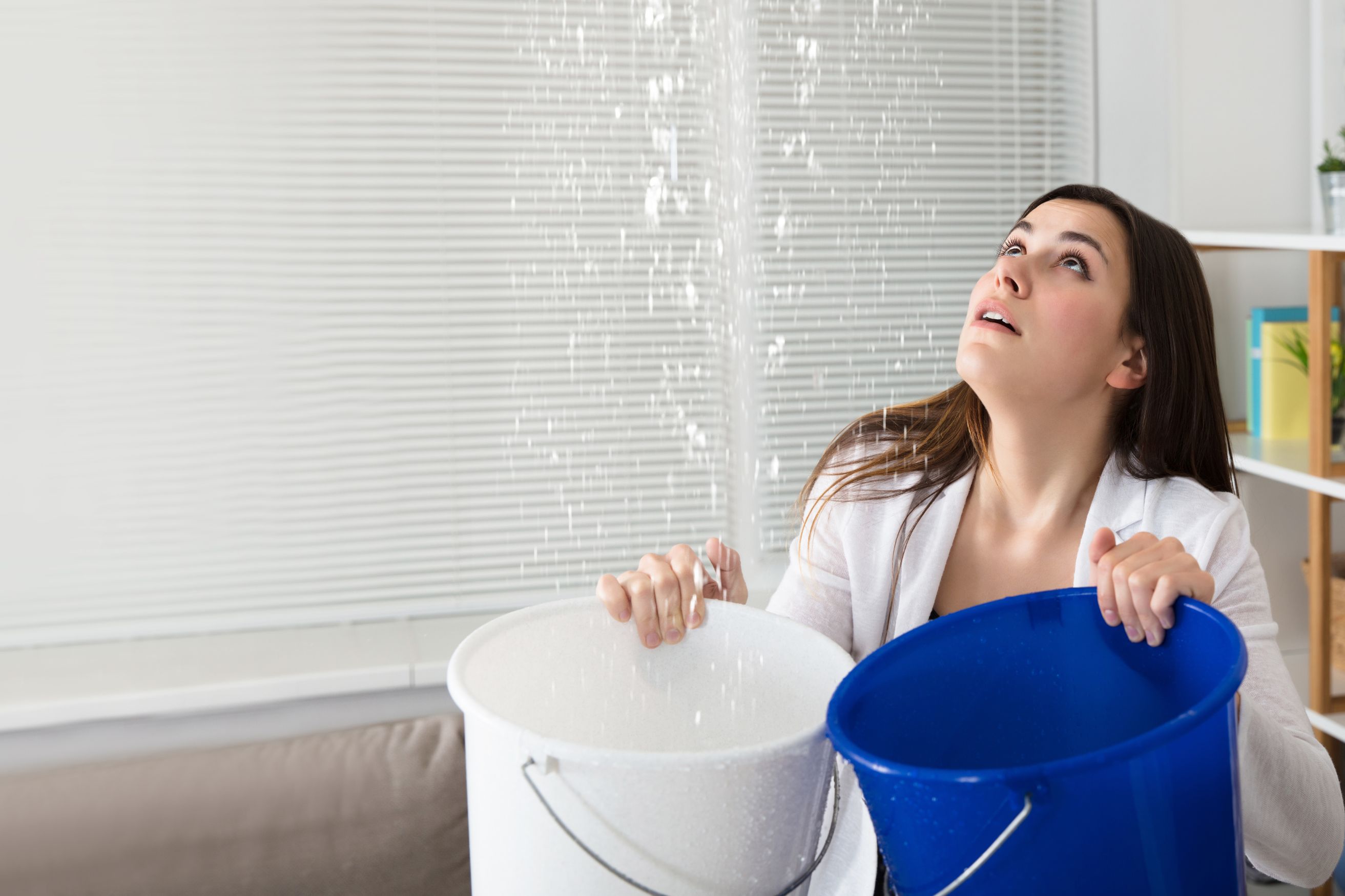 Leak Repair in Minneapolis, MN | True Plumbing Solutions